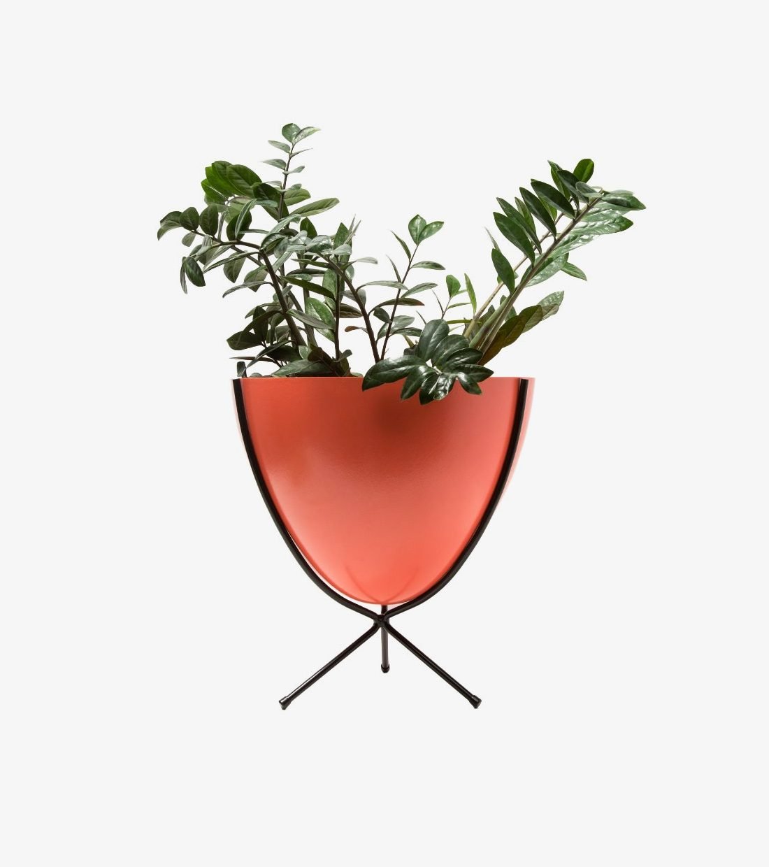 Short Black Stand - Image 2