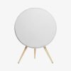 Speaker In White