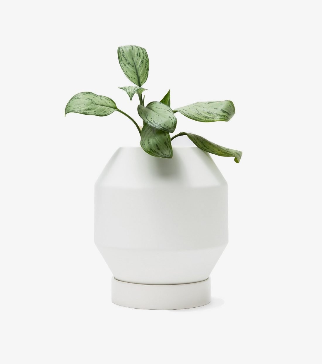 Radial Vessels – Small Planter - Image 3