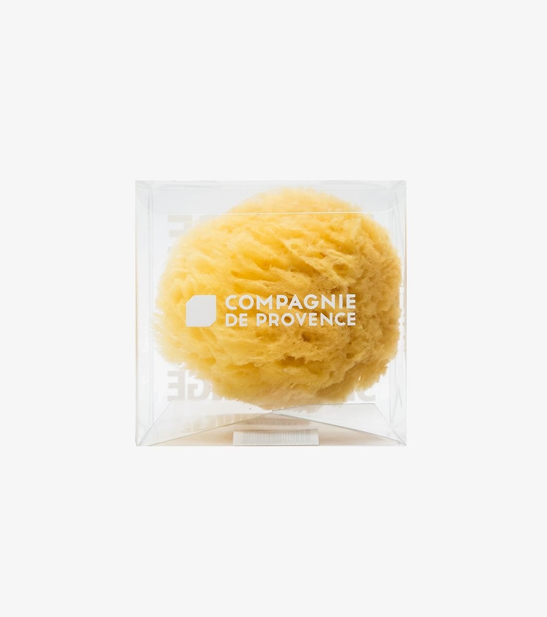 Natural Sea Sponge