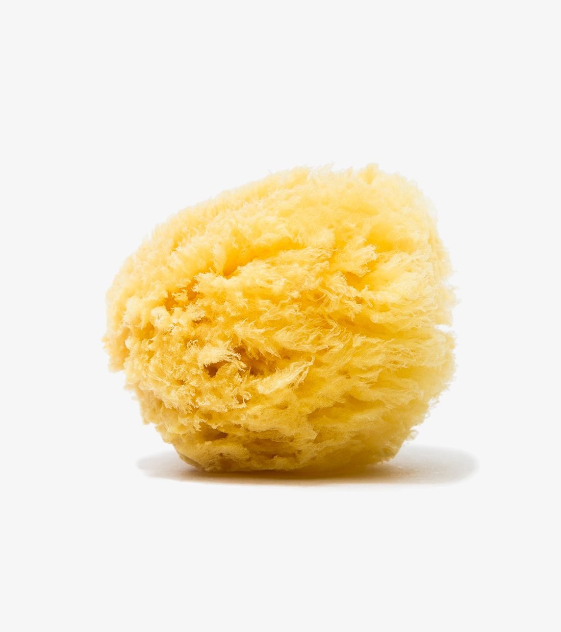 Natural Sea Sponge - Image 3
